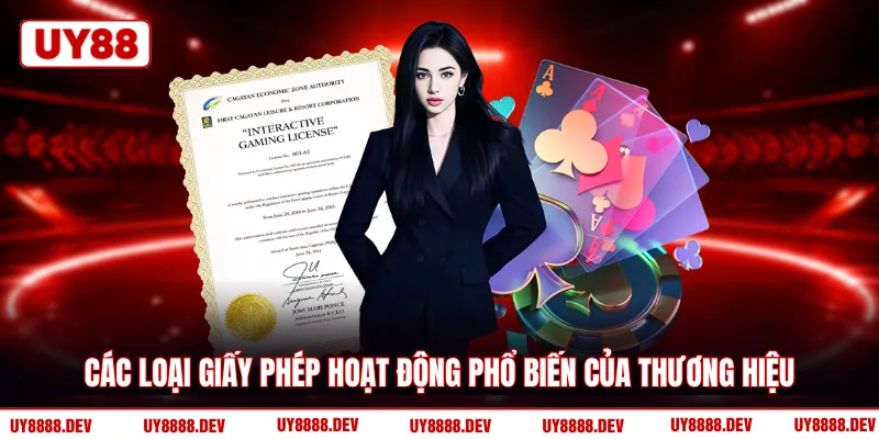 Các loại giấy phép hoạt động phổ biến của thương hiệu