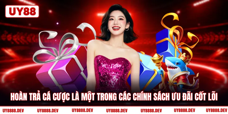 Hoàn trả cá cược là một trong các chính sách ưu đãi cốt lõi